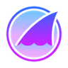 Icon 1